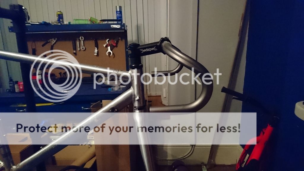 ridgeback genesis day 01